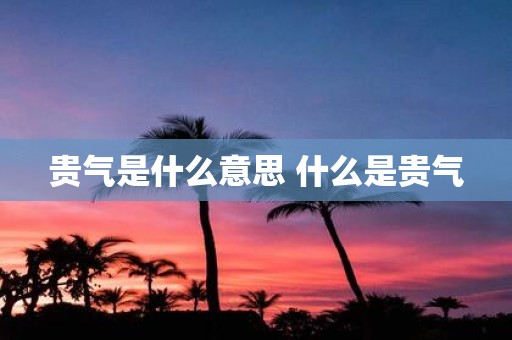 贵气是什么意思 什么是贵气