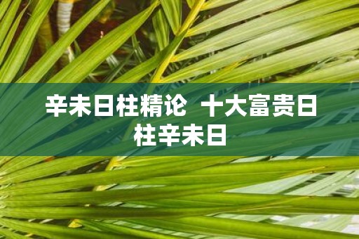 辛未日柱精论 十大富贵日柱辛未日