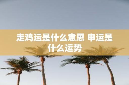 走鸡运是什么意思 申运是什么运势
