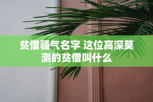 贫僧骚气名字 这位高深莫测的贫僧叫什么