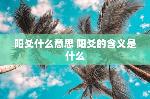 阳爻什么意思 阳爻的含义是什么