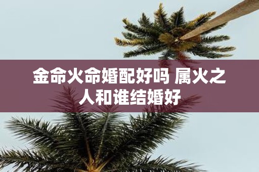 金命火命婚配好吗 属火之人和谁结婚好