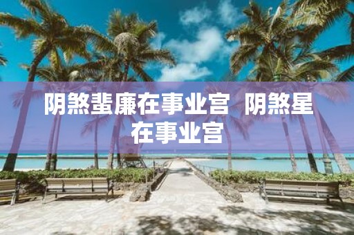 阴煞蜚廉在事业宫 阴煞星在事业宫