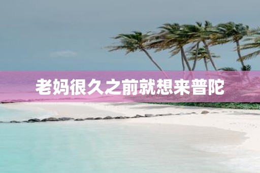 老妈很久之前就想来普陀