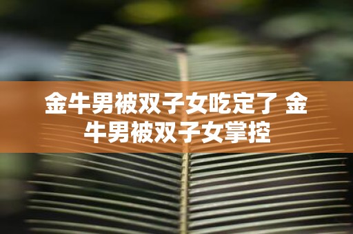 金牛男被双子女吃定了 金牛男被双子女掌控