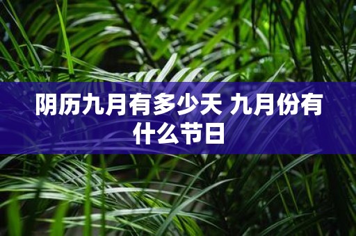阴历九月有多少天 九月份有什么节日