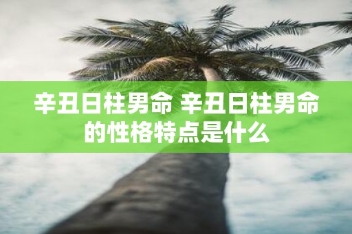 辛丑日柱男命 辛丑日柱男命的性格特点是什么