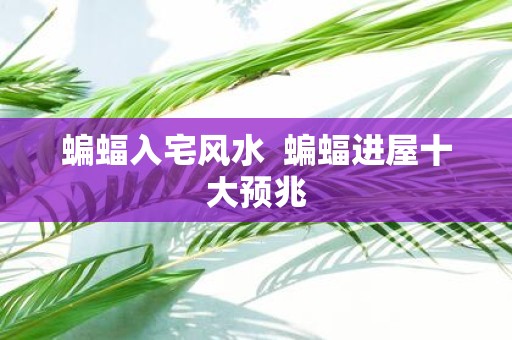 蝙蝠入宅风水 蝙蝠进屋十大预兆
