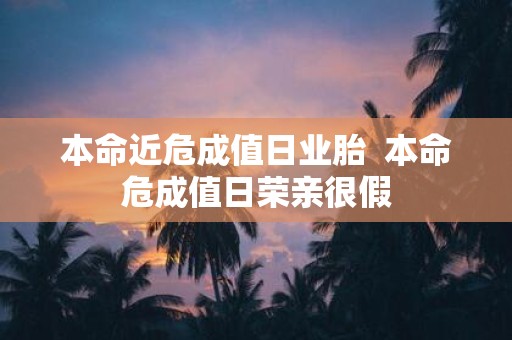 本命近危成值日业胎 本命危成值日荣亲很假