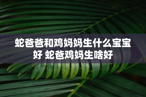 蛇爸爸和鸡妈妈生什么宝宝好 蛇爸鸡妈生啥好