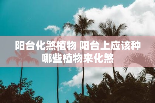 阳台化煞植物 阳台上应该种哪些植物来化煞