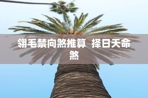 翎毛禁向煞推算 择日天命煞