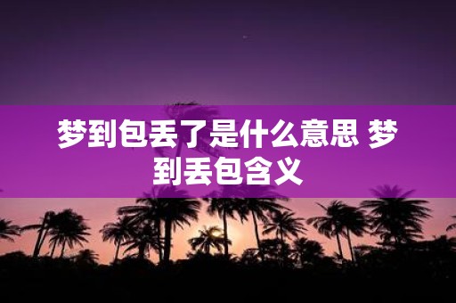 梦到包丢了是什么意思 梦到丢包含义