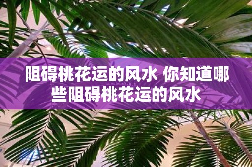 阻碍桃花运的风水 你知道哪些阻碍桃花运的风水