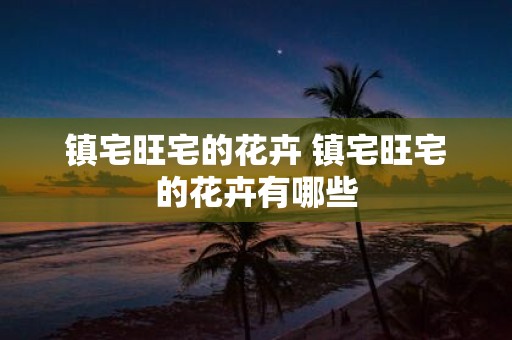 镇宅旺宅的花卉 镇宅旺宅的花卉有哪些