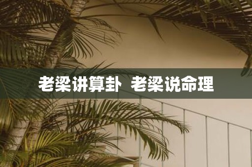 老梁讲算卦 老梁说命理