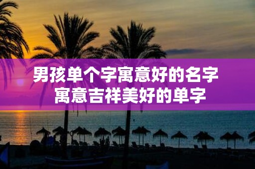 男孩单个字寓意好的名字 寓意吉祥美好的单字
