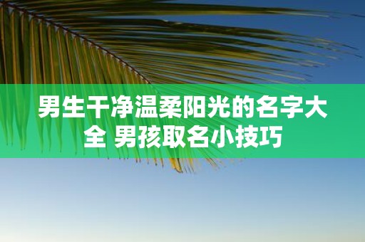 男生干净温柔阳光的名字大全 男孩取名小技巧
