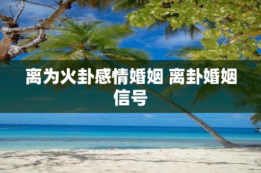 离为火卦感情婚姻 离卦婚姻信号