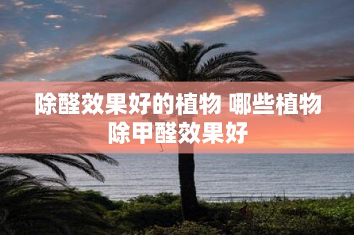 除醛效果好的植物 哪些植物除甲醛效果好
