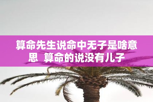 算命先生说命中无子是啥意思 算命的说没有儿子