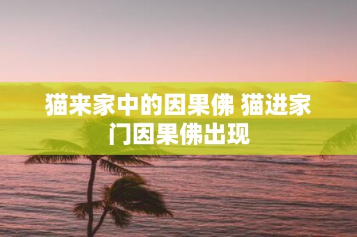 猫来家中的因果佛 猫进家门因果佛出现