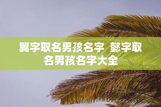 翼字取名男孩名字 懿字取名男孩名字大全