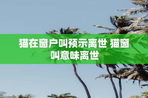 猫在窗户叫预示离世 猫窗叫意味离世