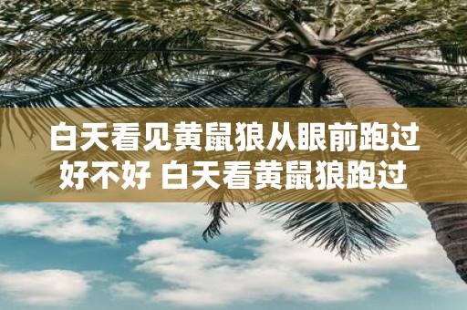 白天看见黄鼠狼从眼前跑过好不好 白天看黄鼠狼跑过了吗