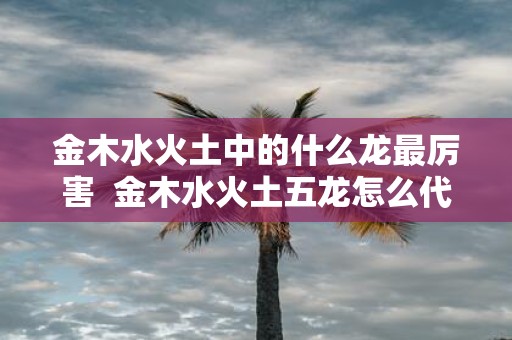 金木水火土中的什么龙最厉害 金木水火土五龙怎么代表