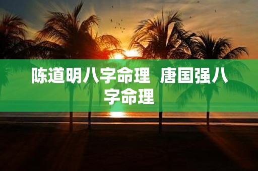 陈道明八字命理 唐国强八字命理