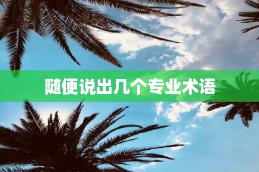 随便说出几个专业术语