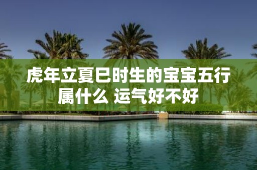 虎年立夏巳时生的宝宝五行属什么 运气好不好