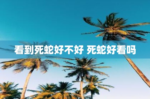 看到死蛇好不好 死蛇好看吗