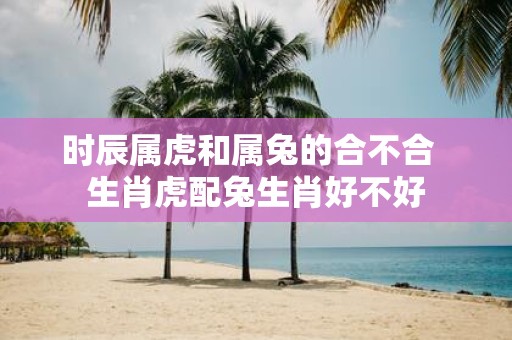 时辰属虎和属兔的合不合 生肖虎配兔生肖好不好