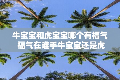 牛宝宝和虎宝宝哪个有福气 福气在谁手牛宝宝还是虎宝宝