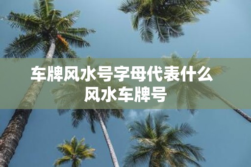 车牌风水号字母代表什么 风水车牌号