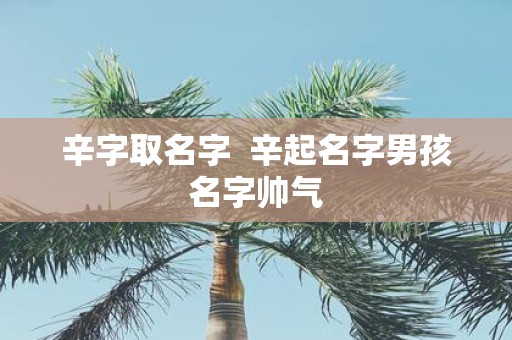 辛字取名字 辛起名字男孩名字帅气