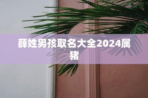 薛姓男孩取名大全2025属猪