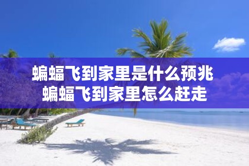 蝙蝠飞到家里是什么预兆 蝙蝠飞到家里怎么赶走