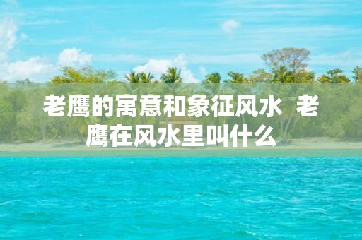 老鹰的寓意和象征风水 老鹰在风水里叫什么