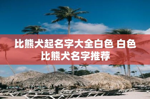 比熊犬起名字大全白色 白色比熊犬名字推荐
