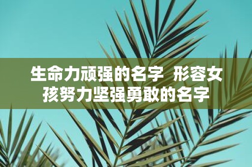 生命力顽强的名字  形容女孩努力坚强勇敢的名字