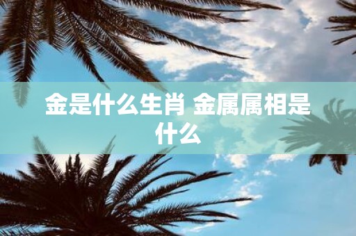 金是什么生肖 金属属相是什么