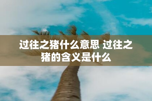 过往之猪什么意思 过往之猪的含义是什么