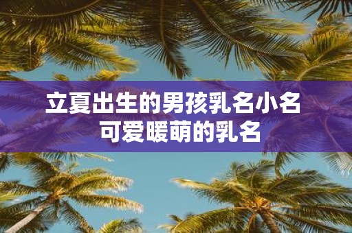 立夏出生的男孩乳名小名 可爱暖萌的乳名
