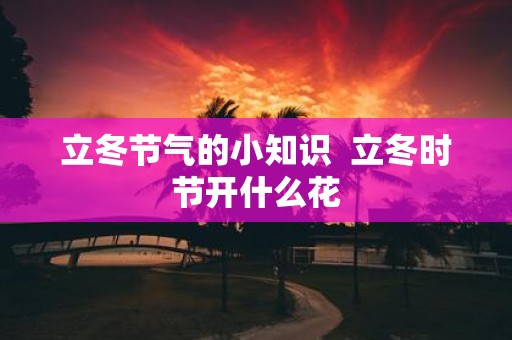 立冬节气的小知识 立冬时节开什么花