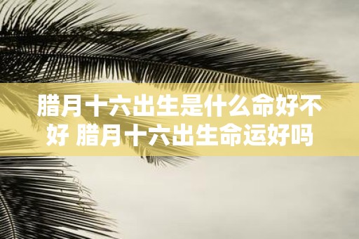 腊月十六出生是什么命好不好 腊月十六出生命运好吗