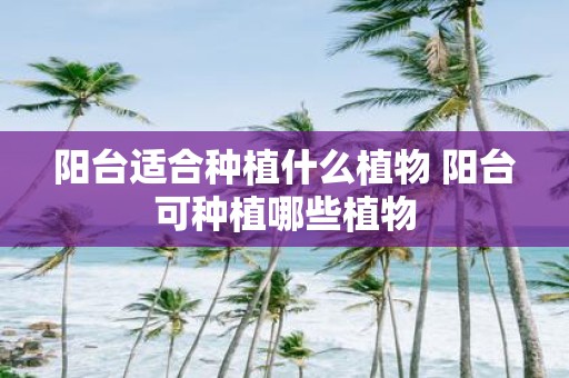 阳台适合种植什么植物 阳台可种植哪些植物