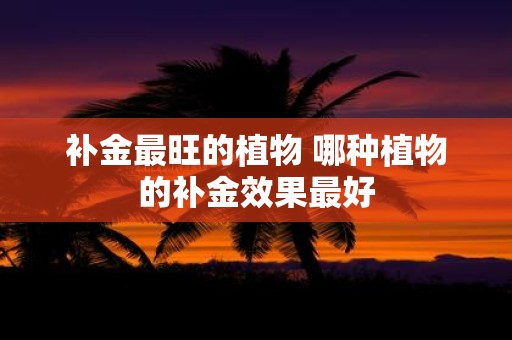 补金最旺的植物 哪种植物的补金效果最好